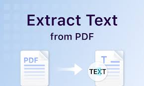 PDF Text Extractor